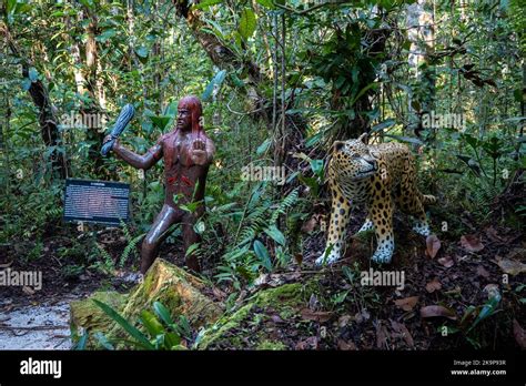 Curupira, Der Schutzgeist des Amazonas mit Rückwärtsfüßen – Eine Legende für die Ewigkeit?